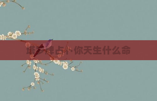 塔罗牌占卜你天生什么命