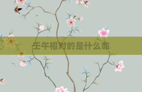 壬午相对的是什么命