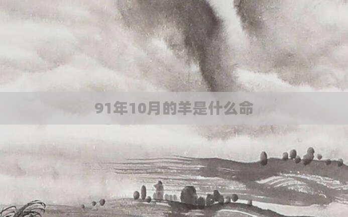 91年10月的羊是什么命