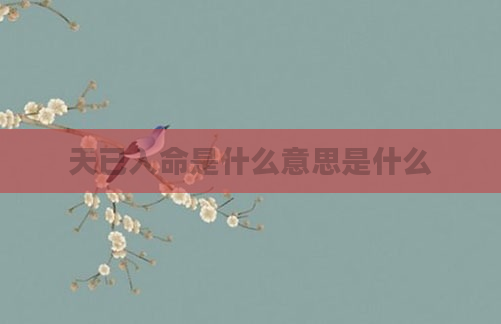 天已入命是什么意思是什么