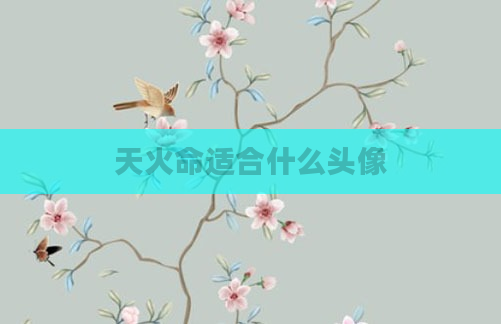 天火命适合什么头像