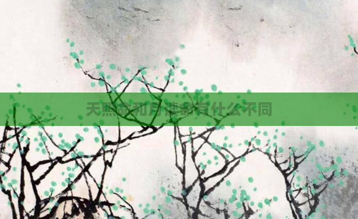 天照命和月读命有什么不同