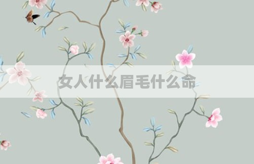 女人什么眉毛什么命