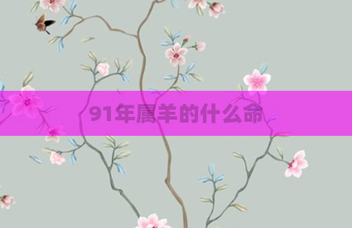 91年属羊的什么命