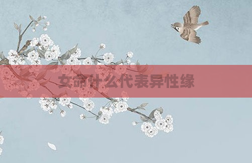 女命什么代表异性缘