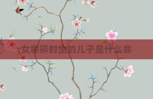 女命卯时生的儿子是什么命