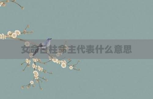 女命日柱命主代表什么意思