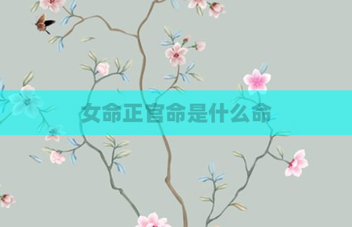 女命正官命是什么命