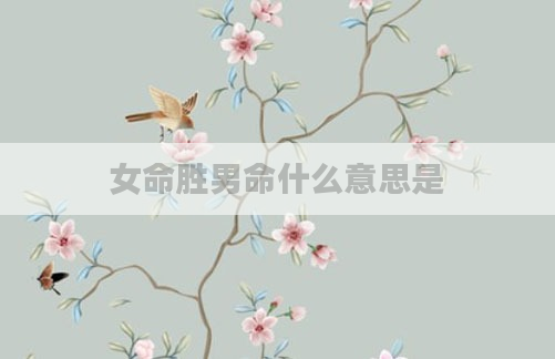 女命胜男命什么意思是