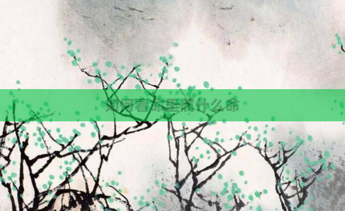 如何看命里属什么命