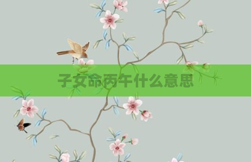 子女命丙午什么意思