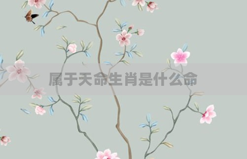 属于天命生肖是什么命