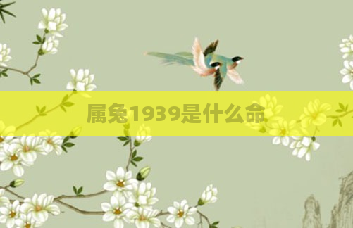属兔1939是什么命