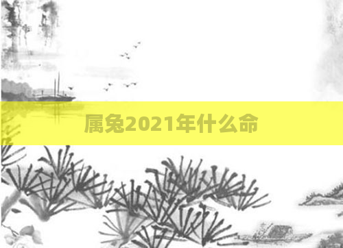 属兔2021年什么命