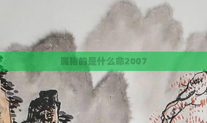 属猪的是什么命2007