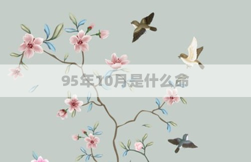 95年10月是什么命