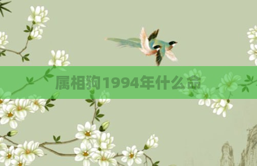 属相狗1994年什么命