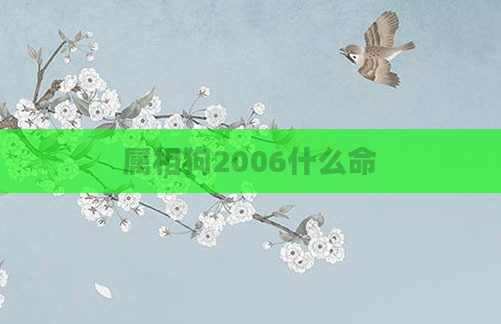 属相狗2006什么命