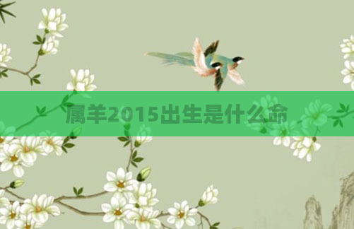 属羊2015出生是什么命