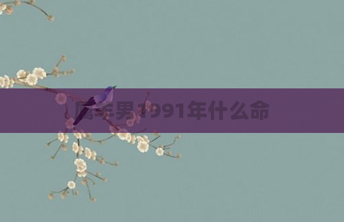 属羊男1991年什么命