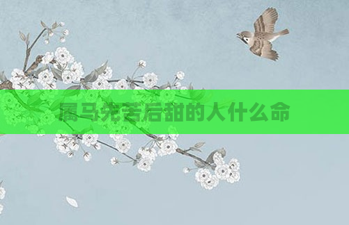 属马先苦后甜的人什么命