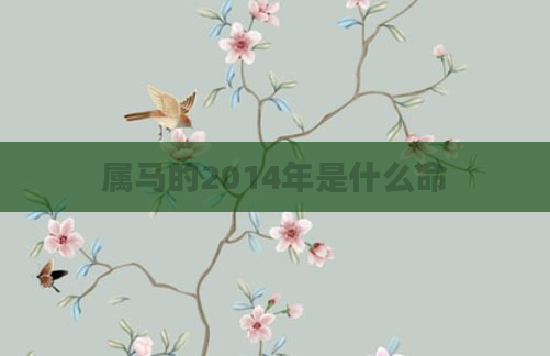 属马的2014年是什么命
