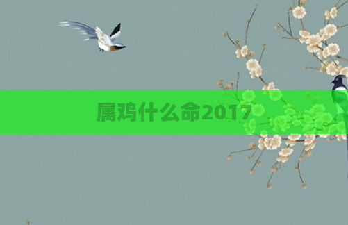 属鸡什么命2017