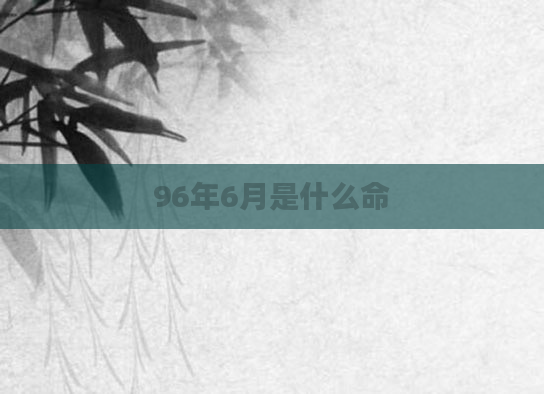 96年6月是什么命