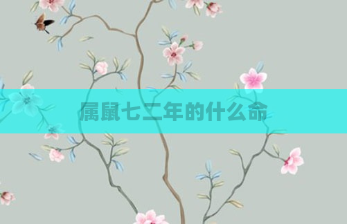 属鼠七二年的什么命