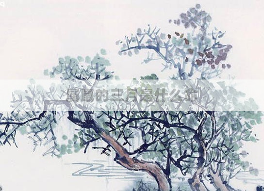 属鼠的三月是什么命