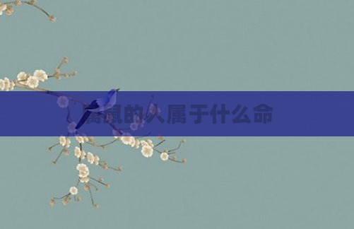 属鼠的人属于什么命