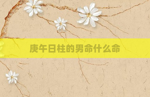 庚午日柱的男命什么命