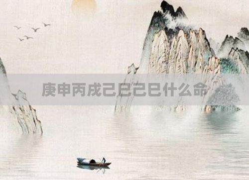 庚申丙戌己巳己巳什么命