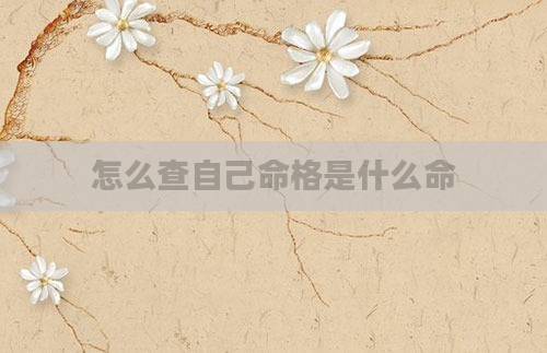 怎么查自己命格是什么命