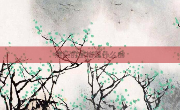 慈禧的命格是什么命