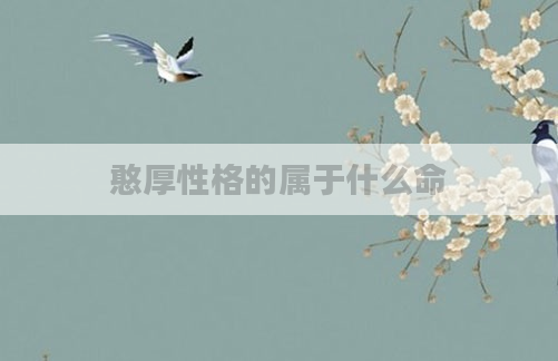 憨厚性格的属于什么命