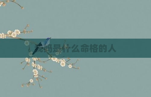 我妈是什么命格的人