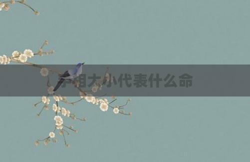 手相大小代表什么命