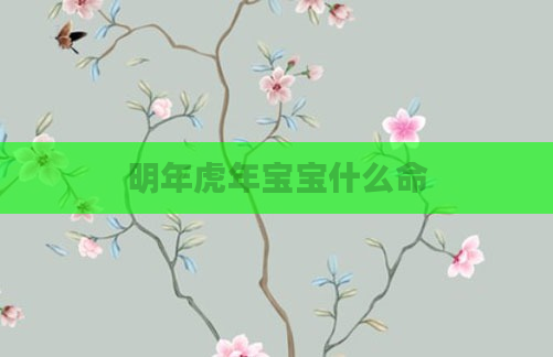 明年虎年宝宝什么命