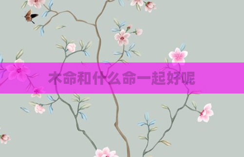 木命和什么命一起好呢