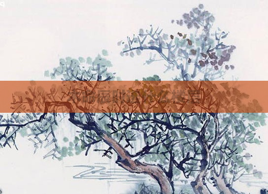 木命辰时选什么楼层