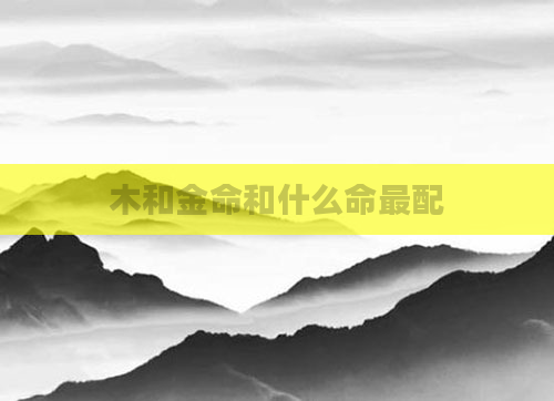 木和金命和什么命最配