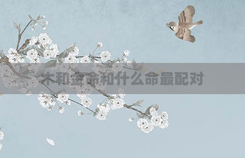木和金命和什么命最配对