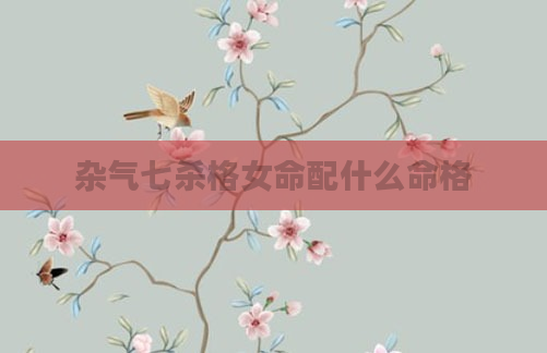 杂气七杀格女命配什么命格