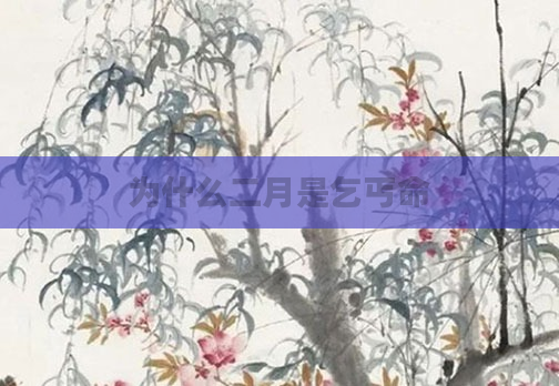 为什么二月是乞丐命