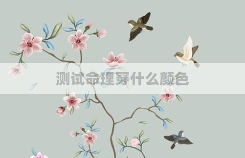测试命理穿什么颜色
