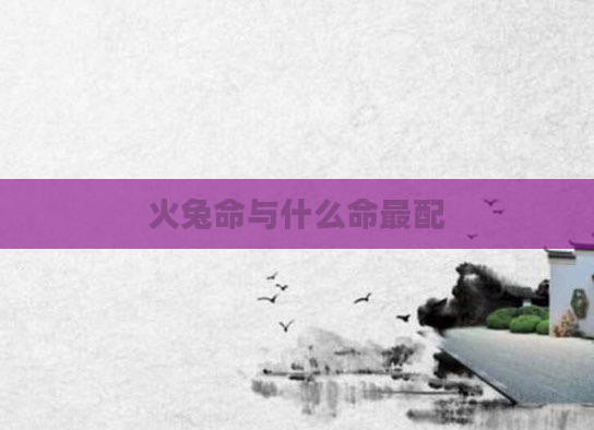 火兔命与什么命最配