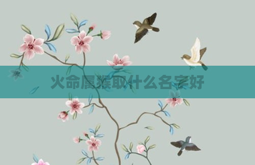火命属猴取什么名字好