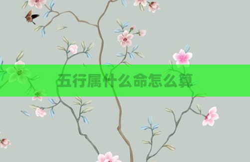 五行属什么命怎么算