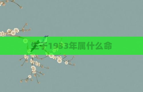 生于1933年属什么命
